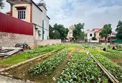 Bán đất trung tâm Ninh Xá, ô tô vào, dân cư đông... Bán đất tại Ninh Xá, Bắc Ninh 03