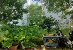 Đất nền tái định cư giá hợp lý tại Hải An, Hải Phòng... Bán đất tại Hải An, Hải Phòng 05