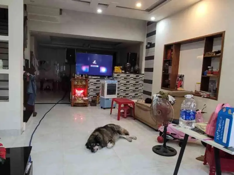 BÁN NHÀ 3 TẦNG – 2 MẶT KIỆT Ô TÔ NGUYỄN NHÀN, TRUNG TÂM CẨM LỆ – 7,95 TỶ... Bán nhà riêng tại Cẩm Lệ, Đà Nẵng 01