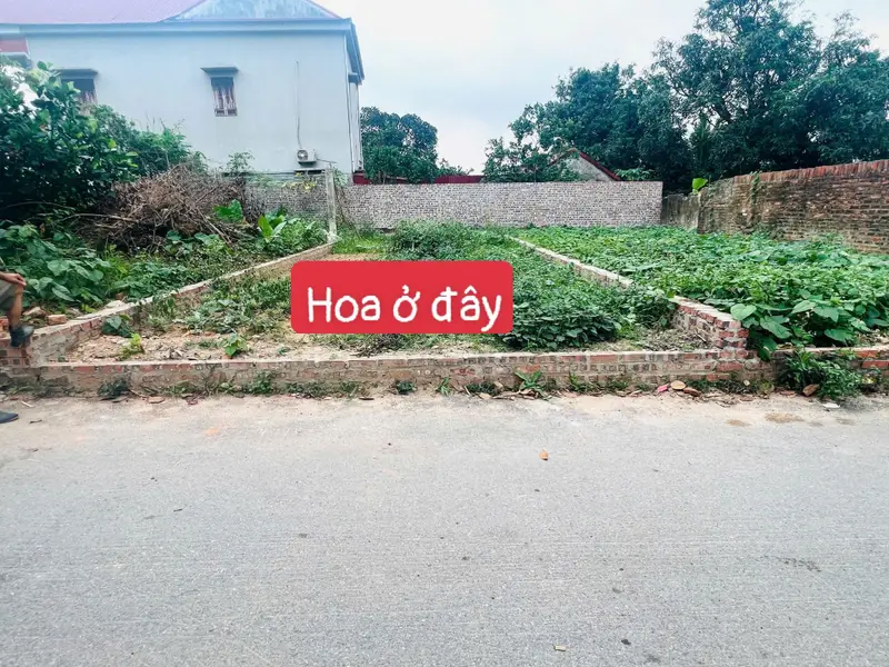 Đất sân bay Vệ Linh giá cực tốt, sát Võ Nguyên Giáp... Bán đất tại Sóc Sơn, Hà Nội 01