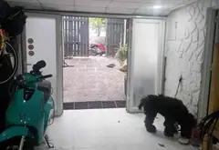 Bán nhà mặt phố 81m² Tân Hưng, Quận 7 - Đẳng cấp khu Him Lam chỉ 21.8 tỷ... Bán nhà mặt phố tại Tân Hưng, Hồ Chí Minh 10