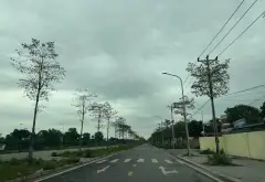 SẴN NHÀ SƯỞNG 120m2 ĐANG CHO THUÊ - MẶT PHỐ ĐƯỜNG MỚI KIM CHUNG ĐÔNG ANH -SỔ CHÍNH CHỦ... Bán kho, nhà xưởng tại Thiên Lộc, Hà Nội 04