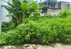 Bán đất thổ cư hướng Đông Nam tại Đông Sơn, gần Quốc lộ 10... Bán đất tại Lưu Kiếm, Hải Phòng 11