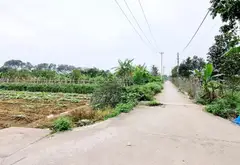 Cơ hội vàng sở hữu lô đất góc mặt trục chính tại Duyên Hà Thanh Trì... Bán owner_side tại Thanh Trì, Hà Nội 06