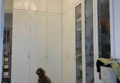 NHÀ LÊ VĂN SỸ/ KHU CAO TẦNG/ NGANG 5M/ BIỆT THỰ MINI/ GIÁ 9,xty... Bán nhà riêng tại Nhiêu Lộc, Hồ Chí Minh 15