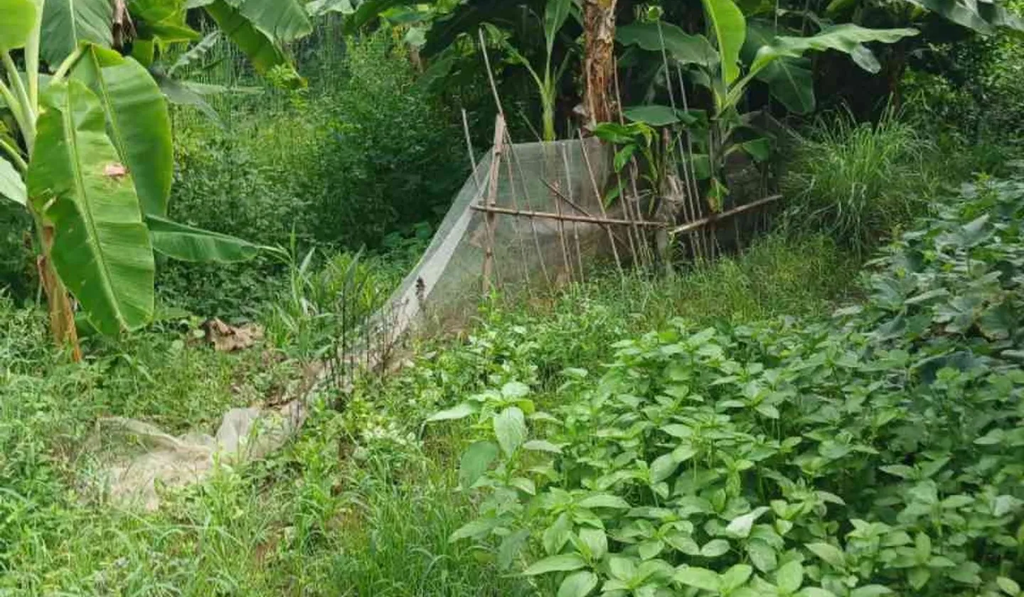 Mảnh Đất Vàng Giữa Trung Tâm Thấp Linh, Minh Tân... Bán đất tại Kiến Thụy, Hải Phòng 01