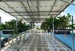 Nhà mặt phố 4 tầng toạ lạc tại phường Bình Tân, sở hữu thang máy tiện nghi... Bán nhà mặt phố tại Bình Tân, Hồ Chí Minh 16