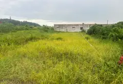 Bán đất thổ cư mặt đường lớn xã Bàng La, thuận tiện kinh doanh và ô tô tránh... Bán đất tại Nam Đồ Sơn, Hải Phòng 07