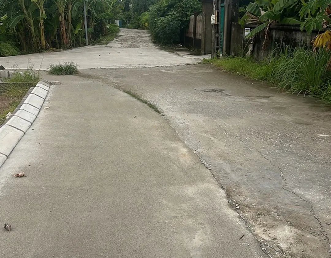 Lô đất 102,1m2 hướng tây nam tại khu vực Gò Gai, Thủy Nguyên, Hải Phòng... Bán đất tại Thủy Nguyên, Hải Phòng 01