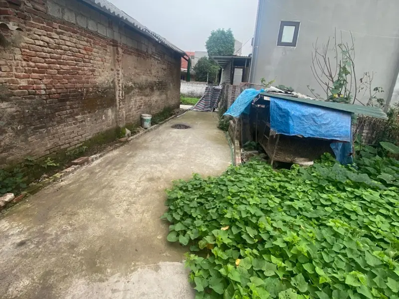 Đất nền 42m² - Ngọc Lịch, Văn Lâm, Hưng Yên - Pháp lý đầy đủ, giá 1.9 tỷ... Bán đất tại Như Quỳnh, Hưng Yên 01