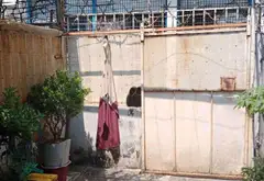 Bán nhà riêng trung tâm Q.6, Phạm Phú Thứ, giá 4.5 tỷ, diện tích 59m²... Bán nhà riêng tại Bình Tiên, Hồ Chí Minh 02