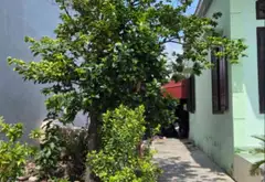 Đất mặt đường kinh doanh tiềm năng tại khu vực Hải Phong, Dương Kinh... Bán đất tại Dương Kinh, Hải Phòng 06
