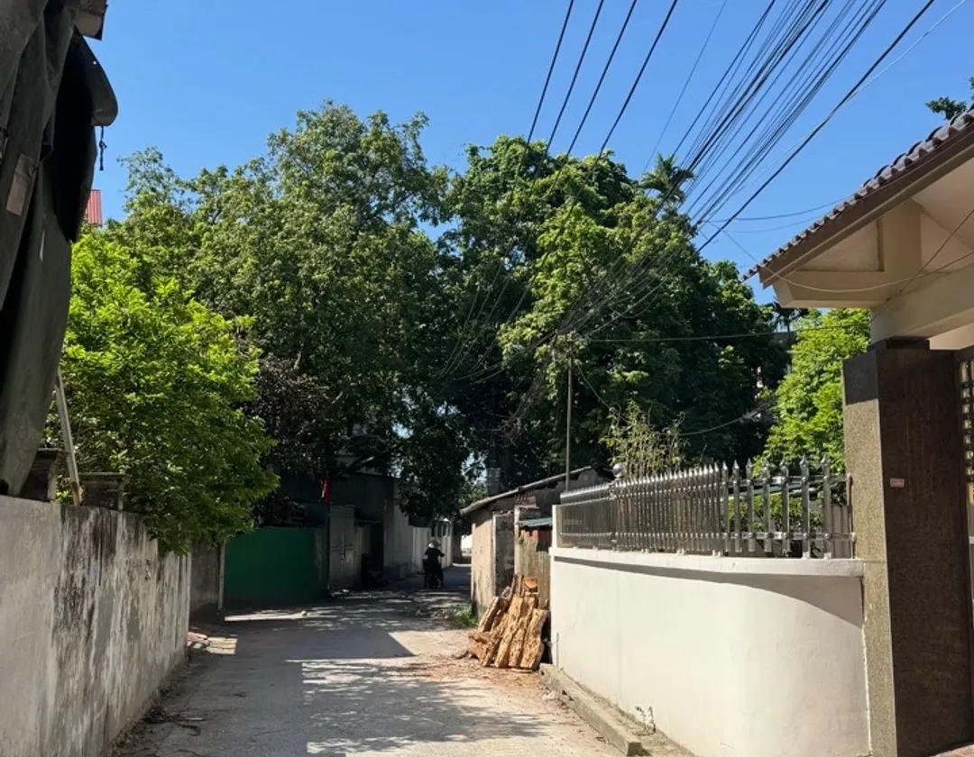 Bán đất thôn Trai Túc, Hưng Yên - 120m², gần Vinhomes Ocean Park - 5.1 tỷ... Bán đất tại Như Quỳnh, Hưng Yên 01