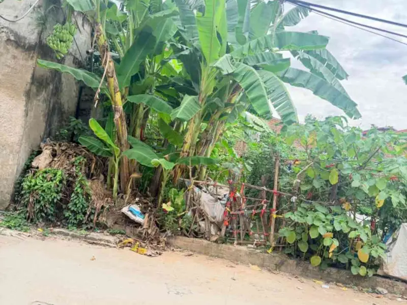 Cơ hội sở hữu đất vàng Ba Lăng với vị trí trung tâm cực đỉnh gần vận động Trống Đồng Vinfats... Bán đất tại Thường Tín, Hà Nội 01