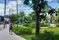 Biệt Thự Sang Trọng Tại Dạ Nam - Gần Cầu Chữ Y, DT 191m2... Bán biệt thự, liền kề tại Chánh Hưng, Hồ Chí Minh 05