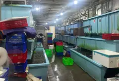 Bán nhà mặt phố 3 tầng phường Cầu Ông Lãnh, Quận 1, diện tích 415m2 mặt tiền 14m... Bán nhà mặt phố tại Cầu Ông Lãnh, Hồ Chí Minh 11