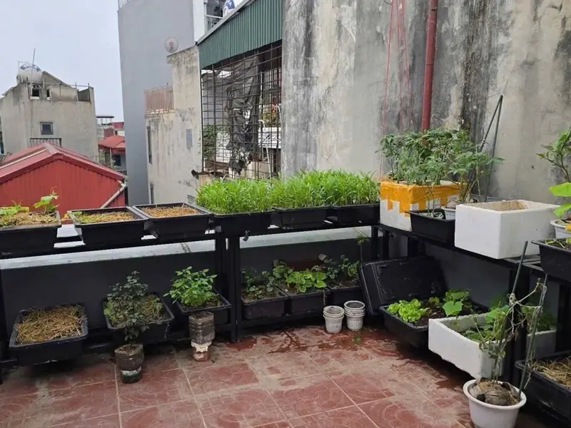 Bán nhà riêng 5 tầng tại Phường Định Công, Hà Nội với thiết kế hiện đại, 3 phòng ngủ... Bán nhà riêng tại Định Công, Hà Nội 01