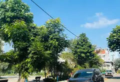 Bán đất 88m² tại xã Ứng Thành với nhà cấp 4, mặt tiền 4m, đường 6m... Bán đất tại Bình Đông, Hồ Chí Minh 01