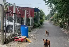 Bán nhà riêng 441m2 xã Nhuận Đức Củ Chi giá 4.5 tỷ... Bán nhà riêng tại Đức Nhuận, Hồ Chí Minh 03