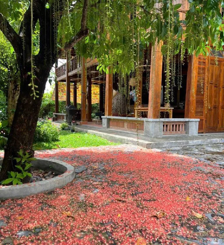 Biệt thự nghỉ dưỡng ngay tại Nhà Bè, chỉ hơn 8 tỷ gần 300m²... Bán nhà riêng tại Hiệp Phước, Hồ Chí Minh 01
