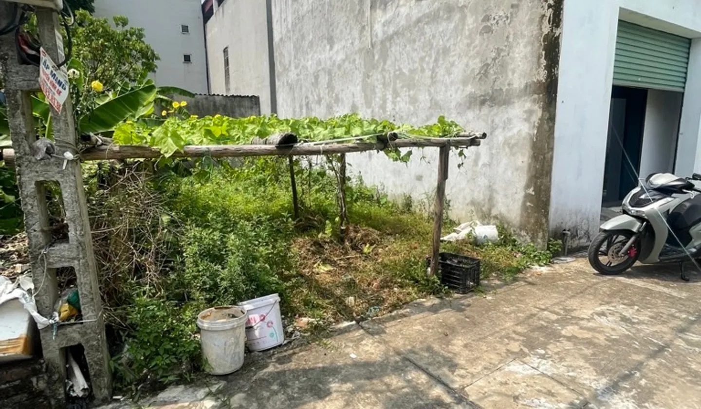 Đất Vàng Gần Nội Bài, Đừng Bỏ Lỡ!... Bán đất tại Sóc Sơn, Hà Nội 01