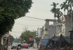 Đất lô góc mặt tiền rộng - Cơ hội vàng cho nhà đầu tư... Bán đất tại Thủy Nguyên, Hải Phòng 02