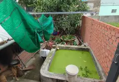 Bán nhà riêng 4 tầng tại phường Thới An, Hồ Chí Minh, diện tích 157.7 m2, pháp lý rõ ràng... Bán nhà riêng tại Thới An, Hồ Chí Minh 08