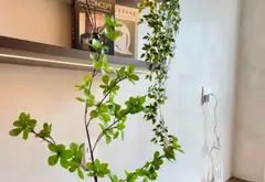 Doanh thu hiện tại: 140 triệu/tháng/ 1,68 tỷ/ Năm/ Đạt 8%/ Năm
💎 Hê thống PCCC thông minh,... Bán nhà riêng tại An Nhơn, Hồ Chí Minh 08