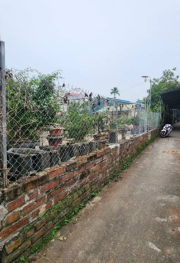 Bán đất thôn 3 Xuân Quan, Văn Giang diện tích 69m² sát KĐT Ecopark... Bán nhà riêng tại Tân Hưng, Hưng Yên 01