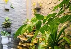 Nhà mặt phố siêu chất, thang máy xịn, thoáng mát mỗi ngày... Bán nhà mặt phố tại Lê Chân, Hải Phòng 06