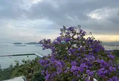 Biệt thự hạng sang với tầm nhìn biển tuyệt mỹ tại Bãi Cháy... Bán biệt thự, liền kề tại Bãi Cháy, Quảng Ninh 07