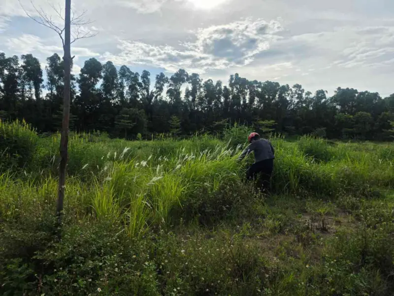 Bán đất Cửu Cao-Văn Giang, đất phân lô, đường rộng vỉa hè, Nhỉnh 1 tỷ.... Bán đất tại Phụng Công, Hưng Yên 01