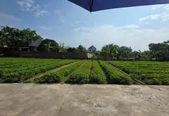 ĐẤT BẮC NINH GIÁ RẺ... Bán đất tại Hiệp Hòa, Bắc Ninh 04