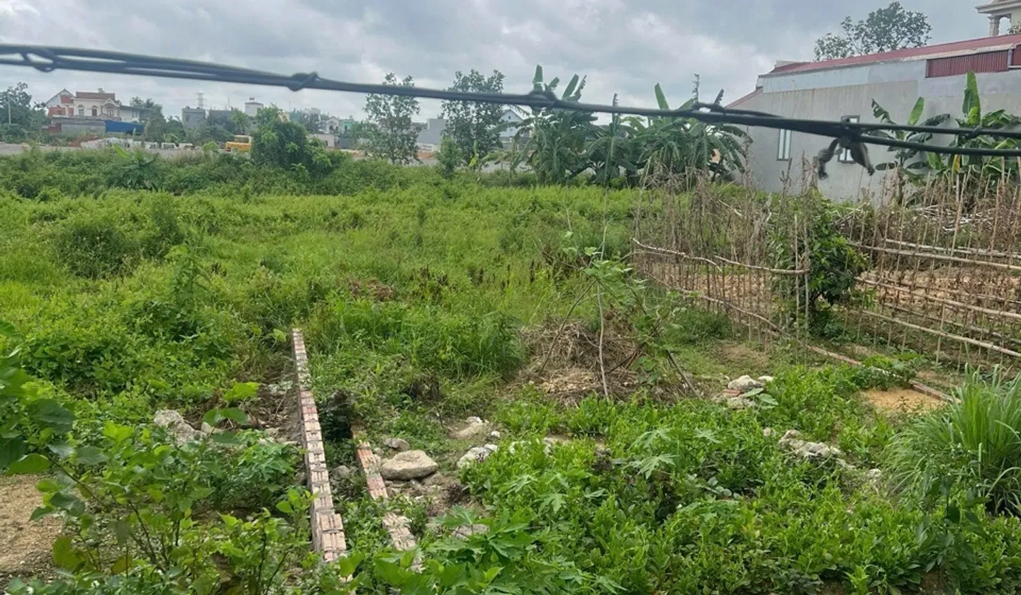 Cơ Hội Vàng Sở Hữu Đất Đẹp Tại Xã Kiến Thụy, Hải Phòng, Giá Đầu Tư Hấp Dẫn... Bán đất tại Kiến Thụy, Hải Phòng 01