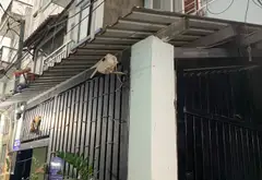 Nhà 2 tầng xinh xắn khu An Lạc giá hợp lý... Bán nhà riêng tại An Lạc, Hồ Chí Minh 02