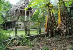 Đất Vườn Lớn Gần Bệnh Viện Nhi Đồng 3 - Cơ Hội Vàng Đầu Tư... Bán đất tại Tân Nhựt, Hồ Chí Minh 08