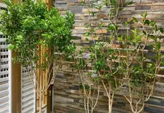 Nhà Đẹp Trung Tâm Đống Đa - Giá Sốc, Sẵn Sàng Về Ở... Bán nhà riêng tại Đống Đa, Hà Nội 04