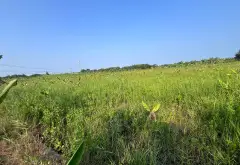 Cơ hội sở hữu nhà vườn rộng 1000m2 tại xã Hiệp Phước giá tốt không thể bỏ lỡ... Bán nhà riêng tại Hiệp Phước, Hồ Chí Minh 04