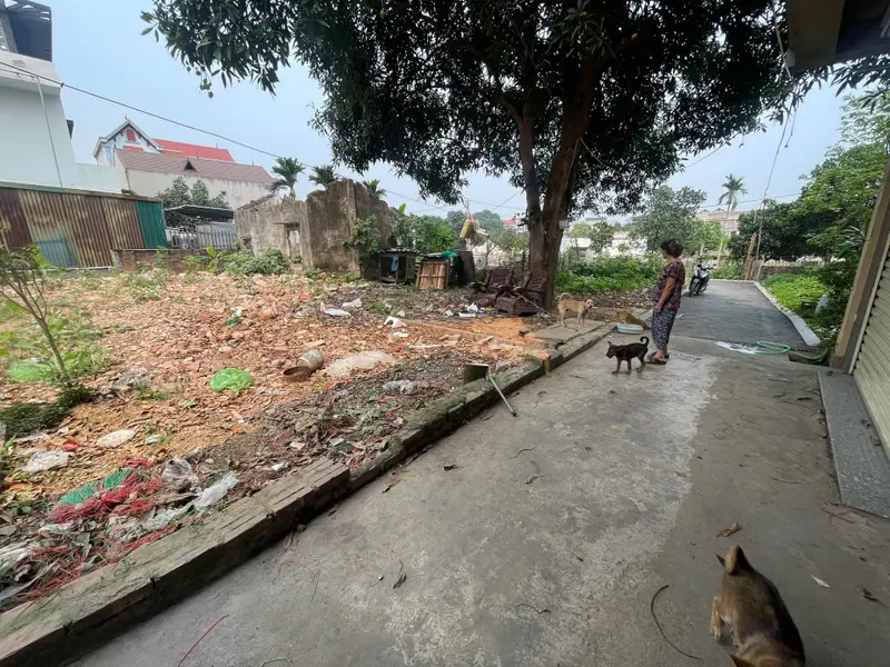 Đất Đông Anh, cách dự án bến xe khách Đông Anh, Quốc Lộ 3: 500m, tài chính 2,85 tỷ... Bán đất tại Đông Anh, Hà Nội 01