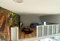 Bán Nhà 2 Tầng Mặt Tiền Đường Số Linh Chiểu, Ngang 5m Nở Hậu, Ngay ĐH Ngân Hàng, Giá 5,2 Tỷ... Bán nhà mặt phố tại Thủ Đức, Hồ Chí Minh 19
