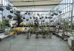 CHỦ NHIỆT BÁN- GIẢM 100tr Còn 5,7 T... Bán nhà mặt phố tại Đông Thạnh, Hồ Chí Minh 14