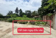Cơ hội sở hữu đất vàng 89m2 vị trí đắc địa, đường ô tô rộng rãi tại khu vực sôi động... Bán đất tại Sóc Sơn, Hà Nội 08