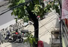 Bán nhà 4 tầng, 3PN, hẻm rộng gần trung tâm Quận 10... Bán owner_side tại Hòa Hưng, Hồ Chí Minh 02