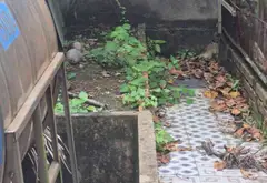 Bán nhà NHÀ MẶT TIỀN KINH DOANH ĐƯỜNG... Bán nhà mặt phố tại Bà Điểm, Hồ Chí Minh 07