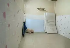 Nhà xinh 2 tầng Nguyễn Bặc - Sẵn sàng vào ở ngay... Bán nhà riêng tại Tân Sơn Hòa, Hồ Chí Minh 04