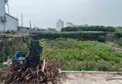 Mảnh đất vàng tại Văn Giang - Cơ hội đầu tư siêu hấp dẫn... Bán đất tại Văn Giang, Hưng Yên 02