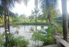 Bán đất rộng 5046m2 hướng Nam, mặt tiền 24m tại xã Vườn Thơm... Bán đất tại Bình Lợi, Hồ Chí Minh 08