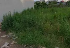 Lô đất mặt đường rộng rãi tại quận trung tâm với hướng Bắc thoáng đãng... Bán đất tại Hải An, Hải Phòng 05