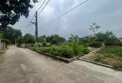 Bán đất 126,9m² mặt tiền 5,5m tại khu đông dân cư, pháp lý rõ ràng... Bán đất tại Kim Anh, Hà Nội 05