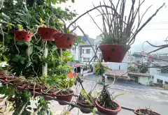 Cơ hội vàng sở hữu nhà mặt phố Yết Kiêu trung tâm sầm uất, giá tốt hiếm có... Bán nhà mặt phố tại Hồng Gai, Quảng Ninh 15